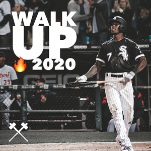 Walk Up Fire 2020